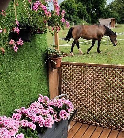 Gite O Vert Malleville-sur-le-Bec Dış mekan fotoğraf
